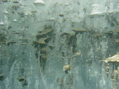 Ice view from inside the dive hole