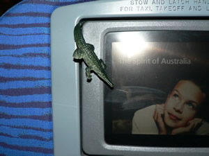 Liz, Kirk's iguana, is watching the television monitor in the back of the plane seat
