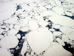 Pack Ice